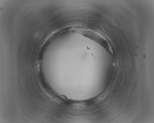 X0000078260160200612011703