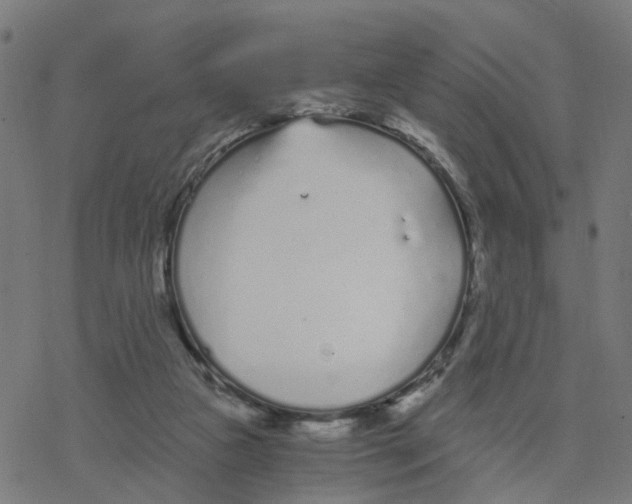 X0000078260161200612011703