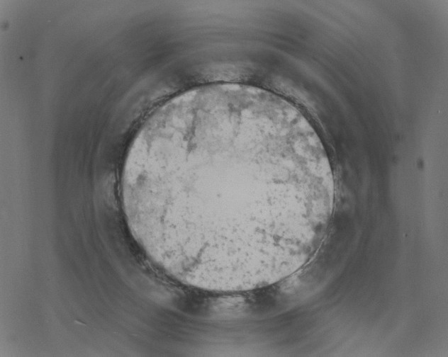 X0000078260162200612011703