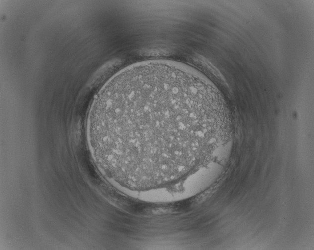 X0000078260163200612011703