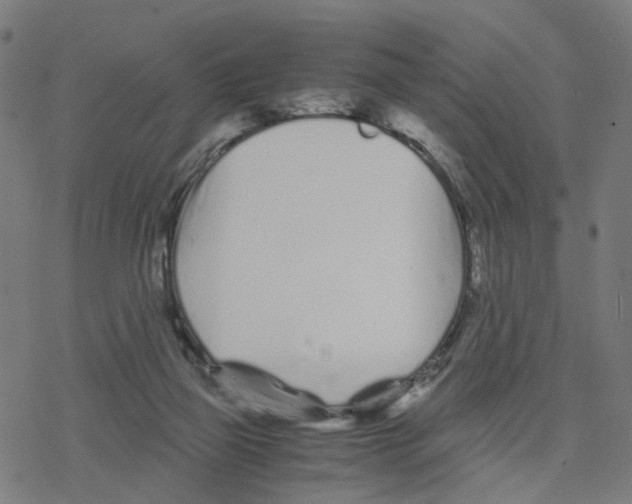 X0000078260165200612011703