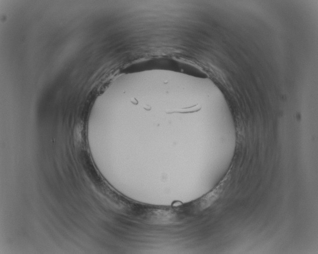 X0000078260166200612011703