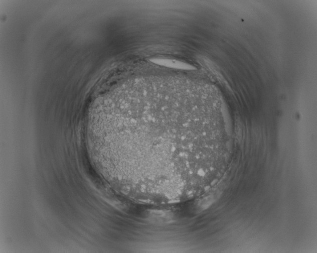 X0000078260167200612011703