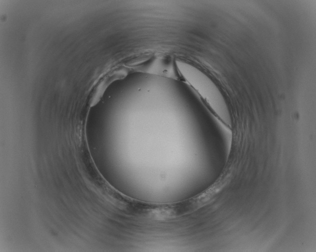 X0000078260168200612011703