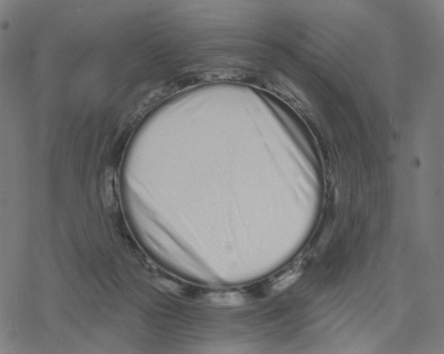 X0000078260169200612011703