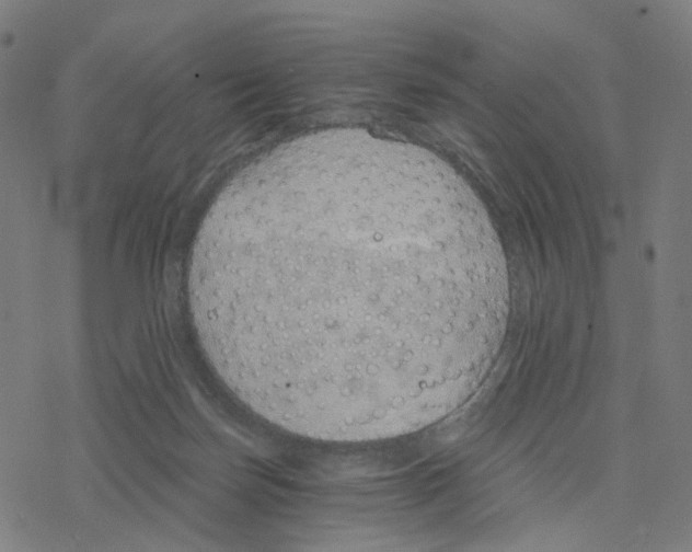 X0000078260171200612011703