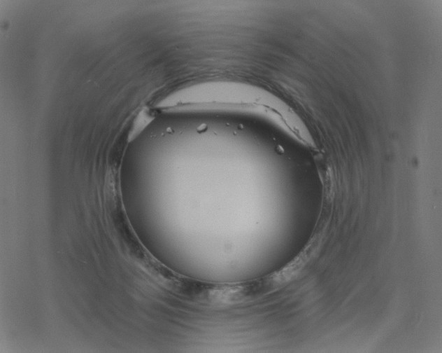 X0000078260172200612011703