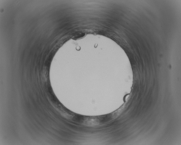 X0000078260174200612011703