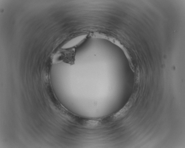 X0000078260176200612011703