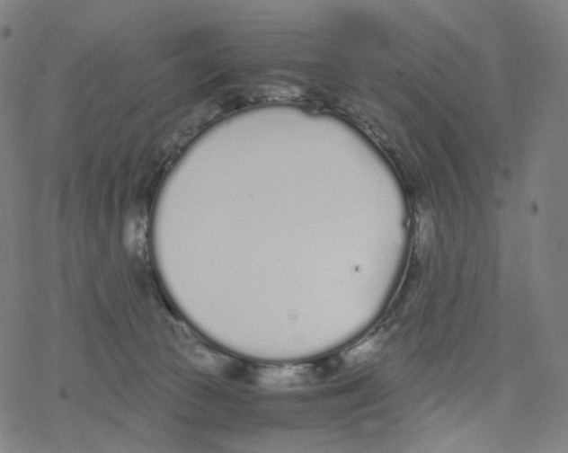 X0000078260177200612011703