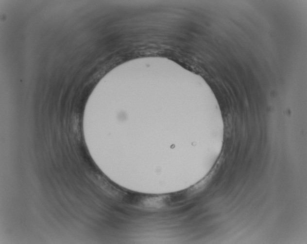 X0000078260178200612011703