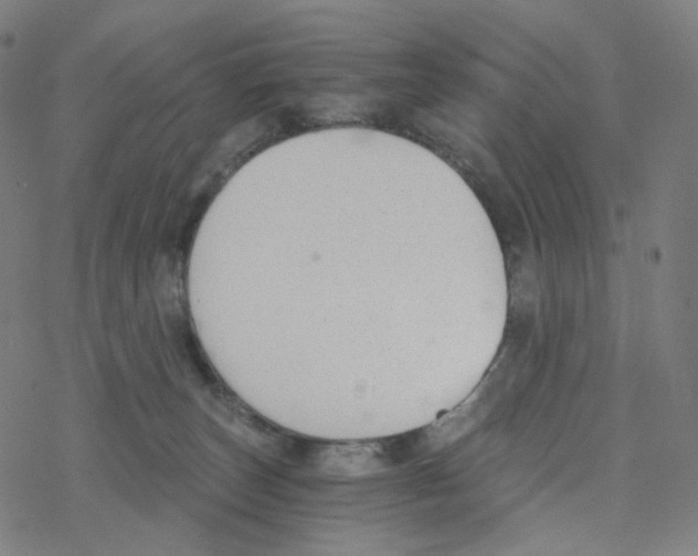 X0000078260179200612011703