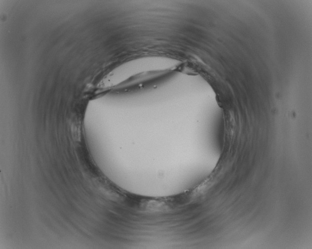 X0000078260180200612011703