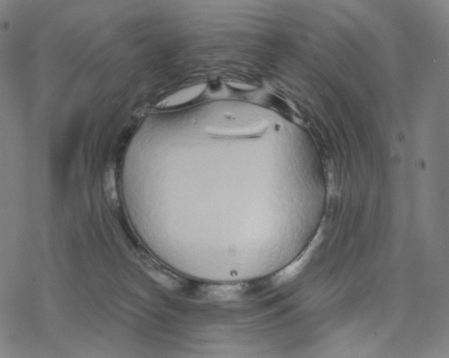 X0000078260182200612011703