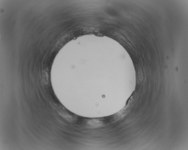 X0000078260183200612011703