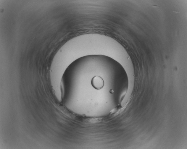 X0000078260184200612011703