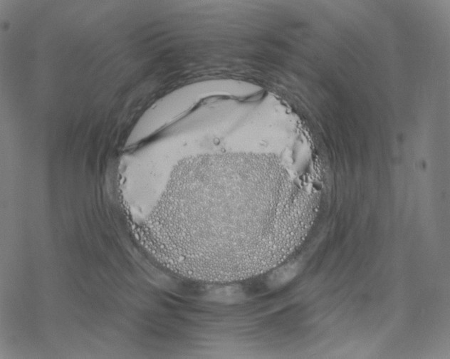 X0000078260185200612011703