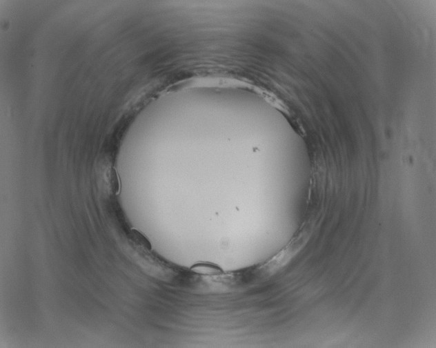 X0000078260188200612011703