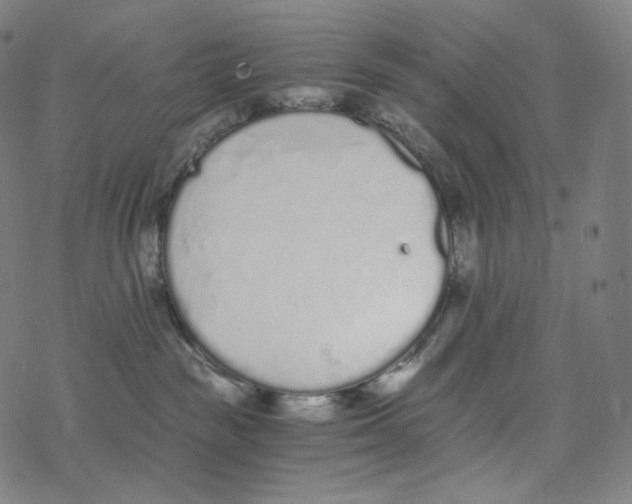 X0000078260189200612011703