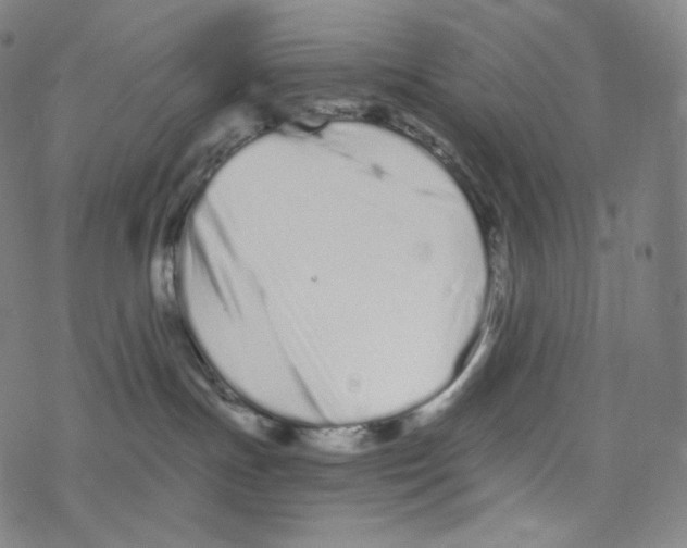 X0000078260191200612011704