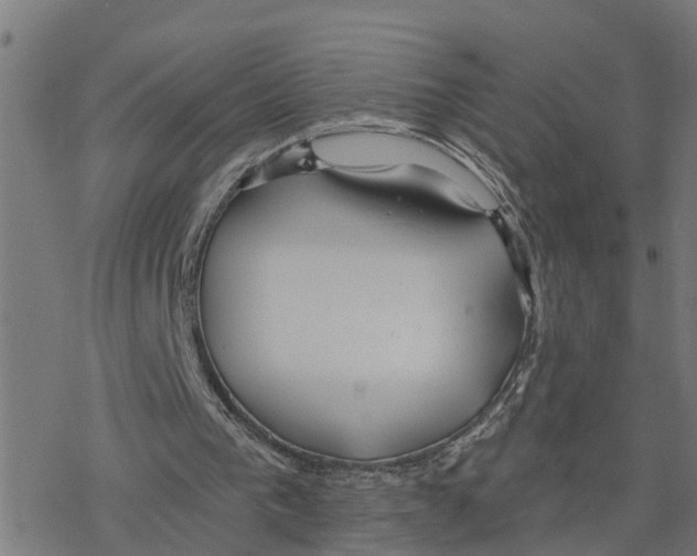 X0000078260193200612011703