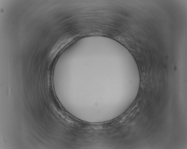 X0000078260194200612011703