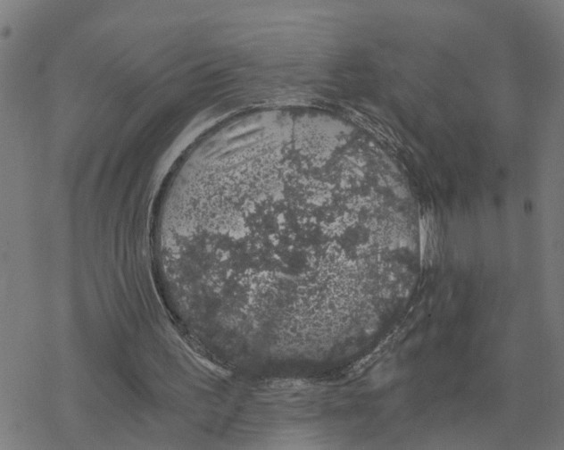 X0000078260195200612011703