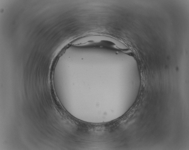 X0000078260196200612011703