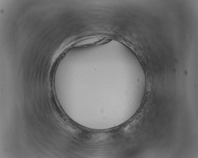 X0000078260198200612011703