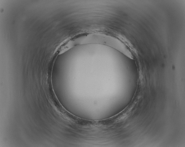 X0000078260201200612011703