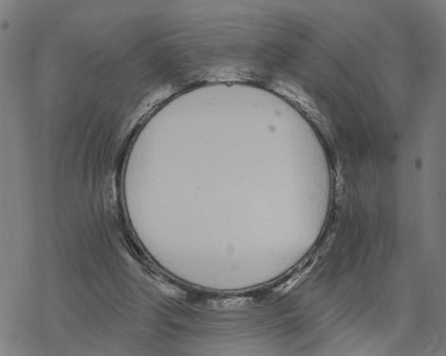 X0000078260202200612011703