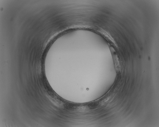 X0000078260204200612011703