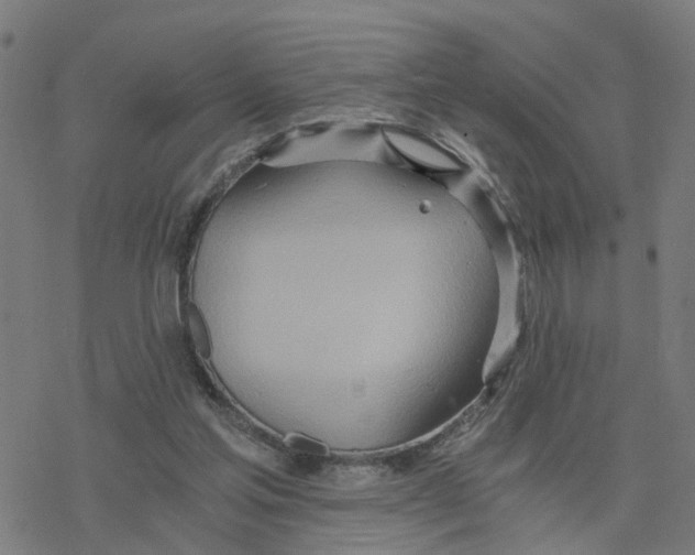 X0000078260205200612011703