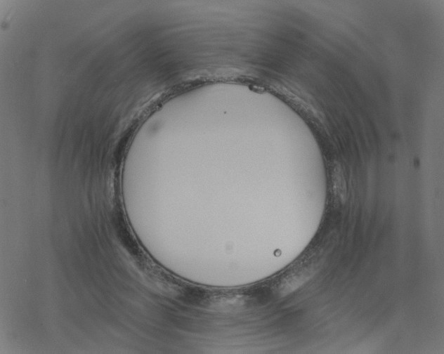 X0000078260206200612011703