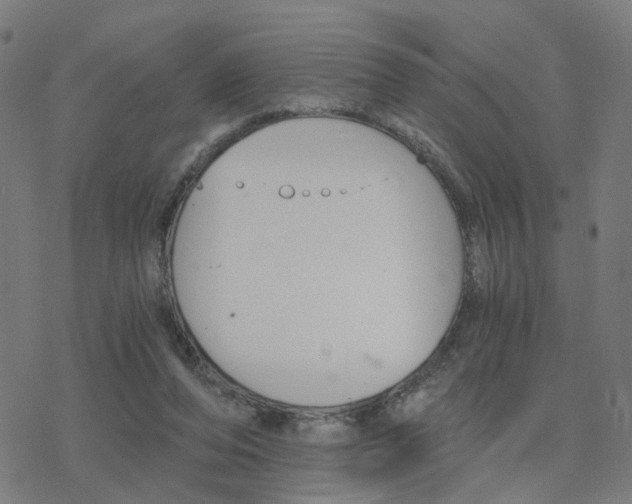 X0000078260208200612011702