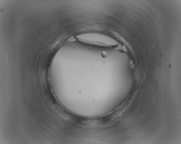 X0000078260209200612011702