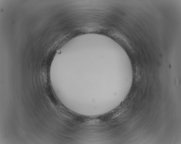 X0000078260210200612011702