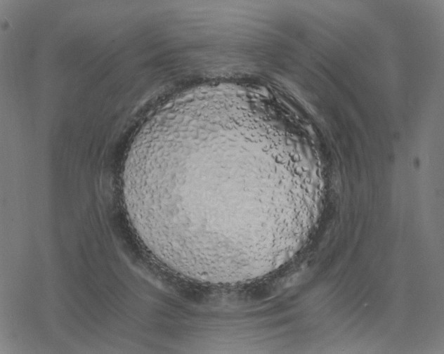 X0000078260211200612011702