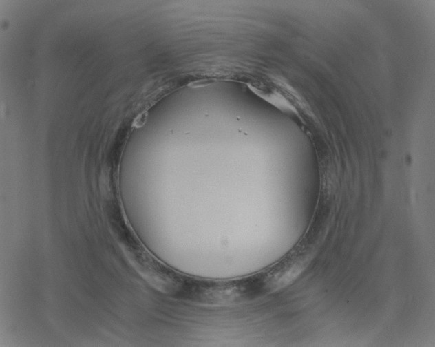 X0000078260213200612011702