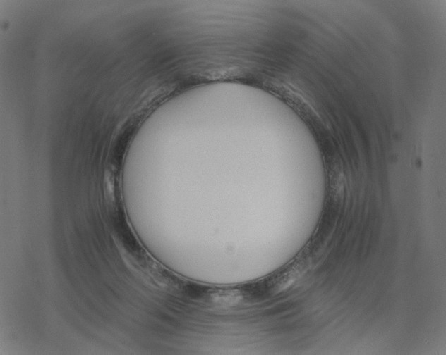 X0000078260214200612011702