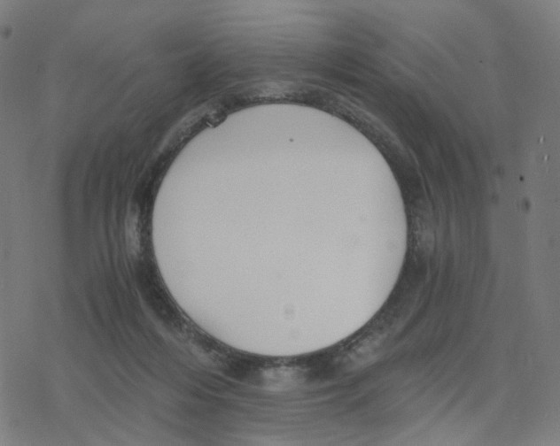 X0000078260216200612011702