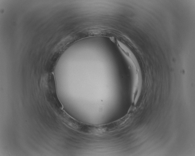 X0000078260217200612011702