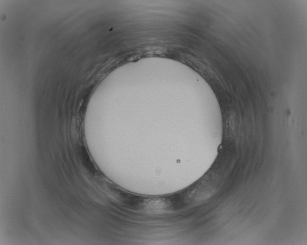 X0000078260218200612011702