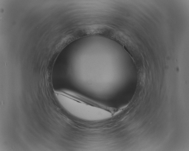 X0000078260219200612011702