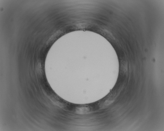 X0000078260220200612011702