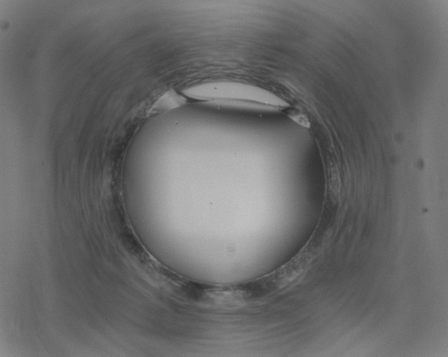 X0000078260221200612011702