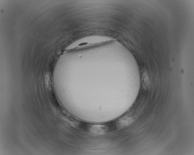 X0000078260222200612011702