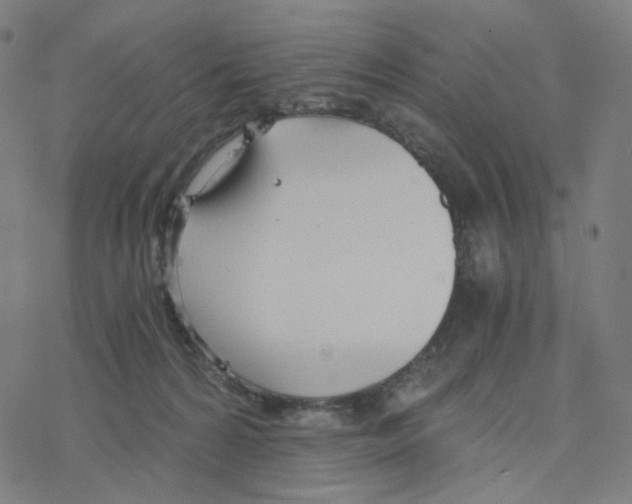 X0000078260224200612011702