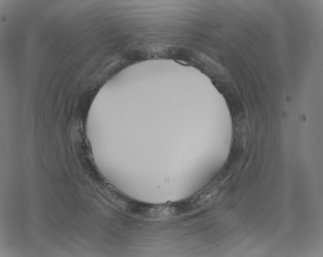 X0000078260225200612011702