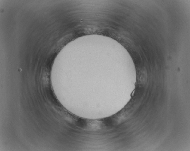 X0000078260226200612011702